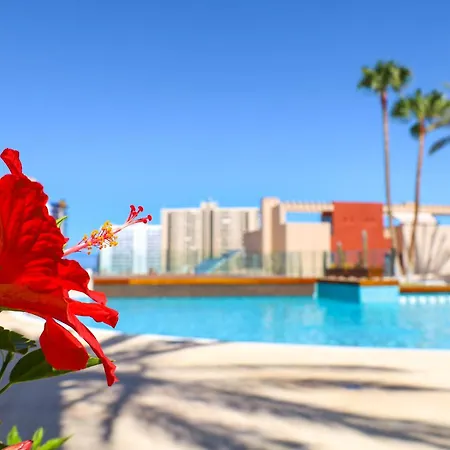 Relax In Paraiso Апартаменты Плайя-Параисо