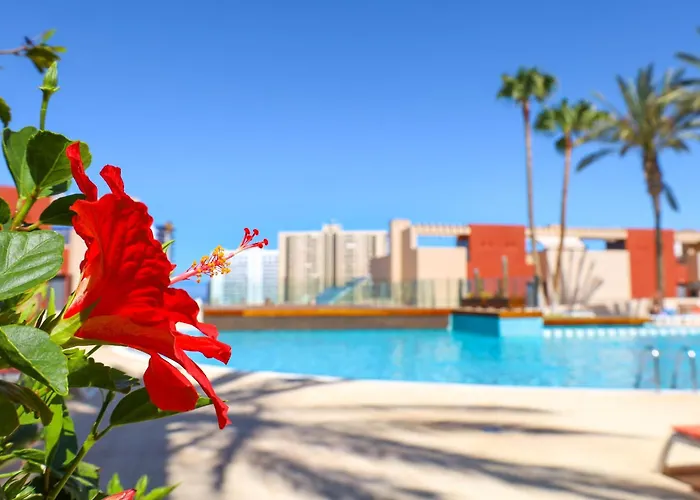 Relax In Paraiso شقة بلايا بارايسو